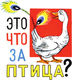 Миниатюра изображения товара Книга АСТ Это что за птица? Сказки, твердая обложка (Сутеев Владимир)