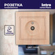 Миниатюра изображения товара Розетка INTRO Plano 1-301-11 / Б0030081 (сосна)