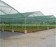 Миниатюра изображения товара Сетка фасадная Rendell 4x50 50-55% (темно-зеленый)
