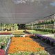 Миниатюра изображения товара Сетка фасадная Rendell 4x50 50-55% (темно-зеленый)