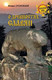 Миниатюра изображения товара Книга Вече О древностях славян / 9785448447273 (Срезневский И.)
