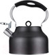 Миниатюра изображения товара Чайник со свистком Regent Inox 93-TEA-49