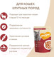 Миниатюра изображения товара Влажный корм для кошек Мнямс Кусочки в соусе с говядиной для крупных кошек / 540188 (85г)