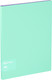 Миниатюра изображения товара Папка для бумаг Berlingo Haze / FS4_17922 (мятный)