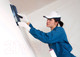 Миниатюра изображения товара Шпатлевка готовая Terraco Handycoat EZ-Skim финишная (25кг)