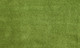 Миниатюра изображения товара Ковер Витебские ковры Микрофибра 21С1-БК/ЭО 11000 20 (2х2.9, светло-зеленый)