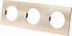 Миниатюра изображения товара Рамка для выключателей и розеток TDM Байкал / SQ1819-0557 (шампань)