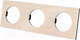 Миниатюра изображения товара Рамка для выключателей и розеток TDM Байкал / SQ1819-0562 (шампань)