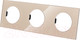 Миниатюра изображения товара Рамка для выключателей и розеток TDM Байкал / SQ1819-0504 (шампань)