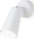 Миниатюра изображения товара Спот Ambrella TA13133 WH (белый)