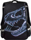 Миниатюра изображения товара Школьный рюкзак Феникс+ Рентген / 64153