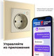 Миниатюра изображения товара Умная розетка Werkel W1171603 (слоновая кость)