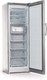 Миниатюра изображения товара Морозильник Indesit DFZ 5175 G