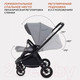 Миниатюра изображения товара Детская универсальная коляска Rant Energy Basic 3 в 1 2024 / RA092 (серый)