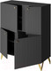 Миниатюра изображения товара Тумба НК Мебель Reno КД-2 (черный)