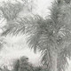 Миниатюра изображения товара Фотообои листовые Citydecor Знойные тропики 14 (200x140см)
