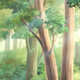Миниатюра изображения товара Фотообои листовые Citydecor Природа 96 (200x140см)