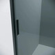 Миниатюра изображения товара Душевая стенка Grossman Style 80x195 / 200.K33.05.80.21.10 (черный матовый, стекло тонированное)