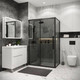 Миниатюра изображения товара Душевой уголок Grossman Cosmo 100x80x195 / 120.K33.02.1080.21.10 (черный матовый/тонированно стекло)