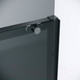 Миниатюра изображения товара Душевая дверь Grossman Style 130x195 / 100.K33.05.130.21.10 (черный матовый/стекло тонированное)