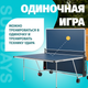 Миниатюра изображения товара Теннисный стол Sundays F2013N