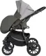 Миниатюра изображения товара Детская универсальная коляска Alis Alvaro 2 в 1 (Al 10, темно-серый/светло-серый/шалфей кожа)