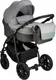 Миниатюра изображения товара Детская универсальная коляска Alis Alvaro 2 в 1 (Al 10, темно-серый/светло-серый/шалфей кожа)