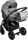 Миниатюра изображения товара Детская универсальная коляска Alis Alvaro F 3 в 1 (Al 10, темно-серый/светло-серый/шалфей кожа)