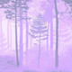 Миниатюра изображения товара Фотообои листовые Citydecor Таинственный лес 13 (200x260см)