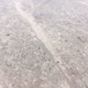 Миниатюра изображения товара Ламинат Egger Home Laminate Large Aqua+ Мрамор Кандела светло-серый EHL229 (33 класс)