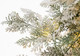 Миниатюра изображения товара Ель искусственная Winter Fun Light Заснеженная / ML-0056-001 (180см)