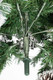 Миниатюра изображения товара Ель искусственная Winter Fun Drop / SZ2000-210 (210см)