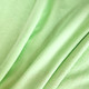 Миниатюра изображения товара Ткань для творчества Sentex Флис двухсторонний 250x160 (салатовый)