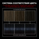 Миниатюра изображения товара Крем-краска для волос Сьёсс Salonplex Permanent Coloration 1-4 (иссиня-черный)