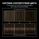 Миниатюра изображения товара Крем-краска для волос Сьёсс Salonplex Permanent Coloration 3-1 (темно-каштановый)