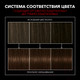 Миниатюра изображения товара Крем-краска для волос Сьёсс Salonplex Permanent Coloration 3-8 (темный шоколад)