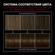 Миниатюра изображения товара Крем-краска для волос Сьёсс Salonplex Permanent Coloration 4-1 (каштановый)