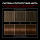 Миниатюра изображения товара Крем-краска для волос Сьёсс Salonplex Permanent Coloration 4-8 (каштановый шоколадный)