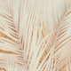 Миниатюра изображения товара Фотообои листовые Citydecor Пальмовые листья Air 69 (300x260см)