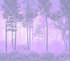 Миниатюра изображения товара Фотообои листовые Citydecor Таинственный лес 13 (300x260см)
