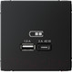 Миниатюра изображения товара Розетка Systeme (Schneider) Electric ArtGallery GAL001029