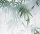 Миниатюра изображения товара Фотообои листовые Citydecor Цветы и Растения 153 (300x260см)