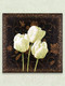 Миниатюра изображения товара Картина Декарт Три белых тюльпана 8Л2250