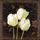 Миниатюра изображения товара Картина Декарт Три белых тюльпана 8Л2250