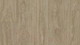 Миниатюра изображения товара Линолеум Tarkett Club Maximus 2 (2x4м)