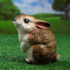 Миниатюра изображения товара Фигурка для сада Хорошие сувениры Заяц веселый / 4237595