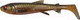 Миниатюра изображения товара Мягкая приманка Savage Gear 3d Whitefish Shad / 1618614