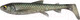 Миниатюра изображения товара Мягкая приманка Savage Gear 3d Whitefish Shad / 1618611