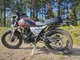 Миниатюра изображения товара Мотоцикл Racer RC 250СК-A Triumph (коричневый)