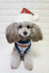Миниатюра изображения товара Шапка для животных Puppia Santa / PDDF-SH23-CR-M (красная клетка)